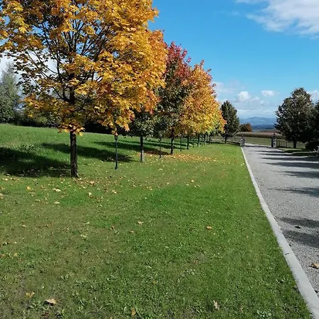 Schuhmann Therme Aquapulco Ikuna Erlebnispark Zoo Schmiding 20 Min Mit Auto Entfernt Mit Wintergarten Und Garten Ab 3 Naechte Buchbar Апартаменты Hinzenbach