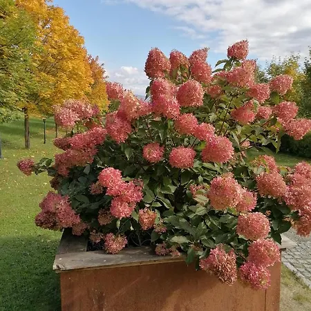 Apartment Schuhmann Mit Wintergarten *