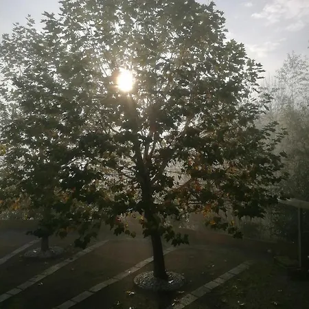 Апартаменты Schuhmann Therme Aquapulco Ikuna Erlebnispark Zoo Schmiding 20 Min Mit Auto Entfernt Mit Wintergarten Und Garten Ab 3 Naechte Buchbar Hinzenbach