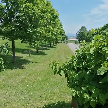 Apartment Schuhmann: Garden Retreat Near Thermal & Adventure Parks *