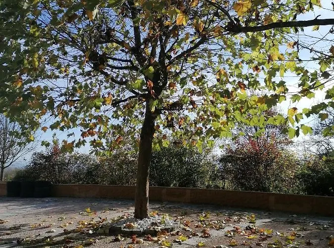 Schuhmann Therme Aquapulco Ikuna Erlebnispark Zoo Schmiding 20 Min Mit Auto Entfernt Mit Wintergarten Und Garten Ab 3 Naechte Buchbar Hinzenbach