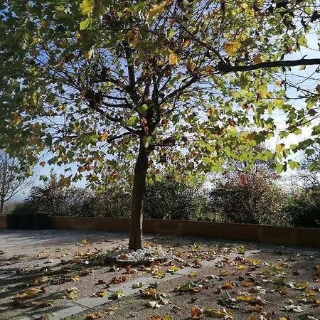 Schuhmann Mit Wintergarten Hinzenbach