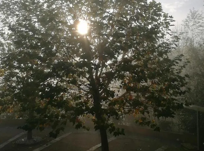 Daire Schuhmann Therme Aquapulco Ikuna Erlebnispark Zoo Schmiding 20 Min Mit Auto Entfernt Mit Wintergarten Und Garten Ab 3 Naechte Buchbar Hinzenbach